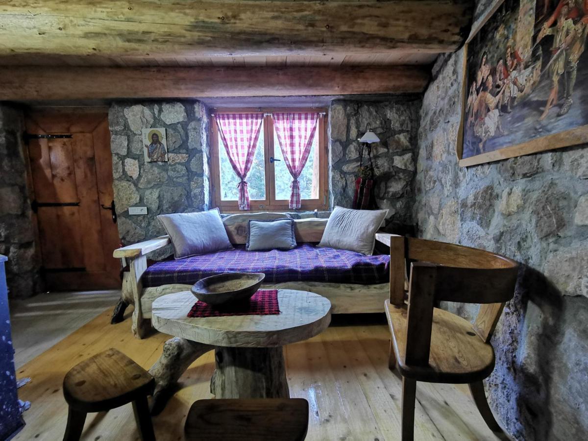 Guesthouse Planinarski Dom Neviden'O Žabljak Extérieur photo