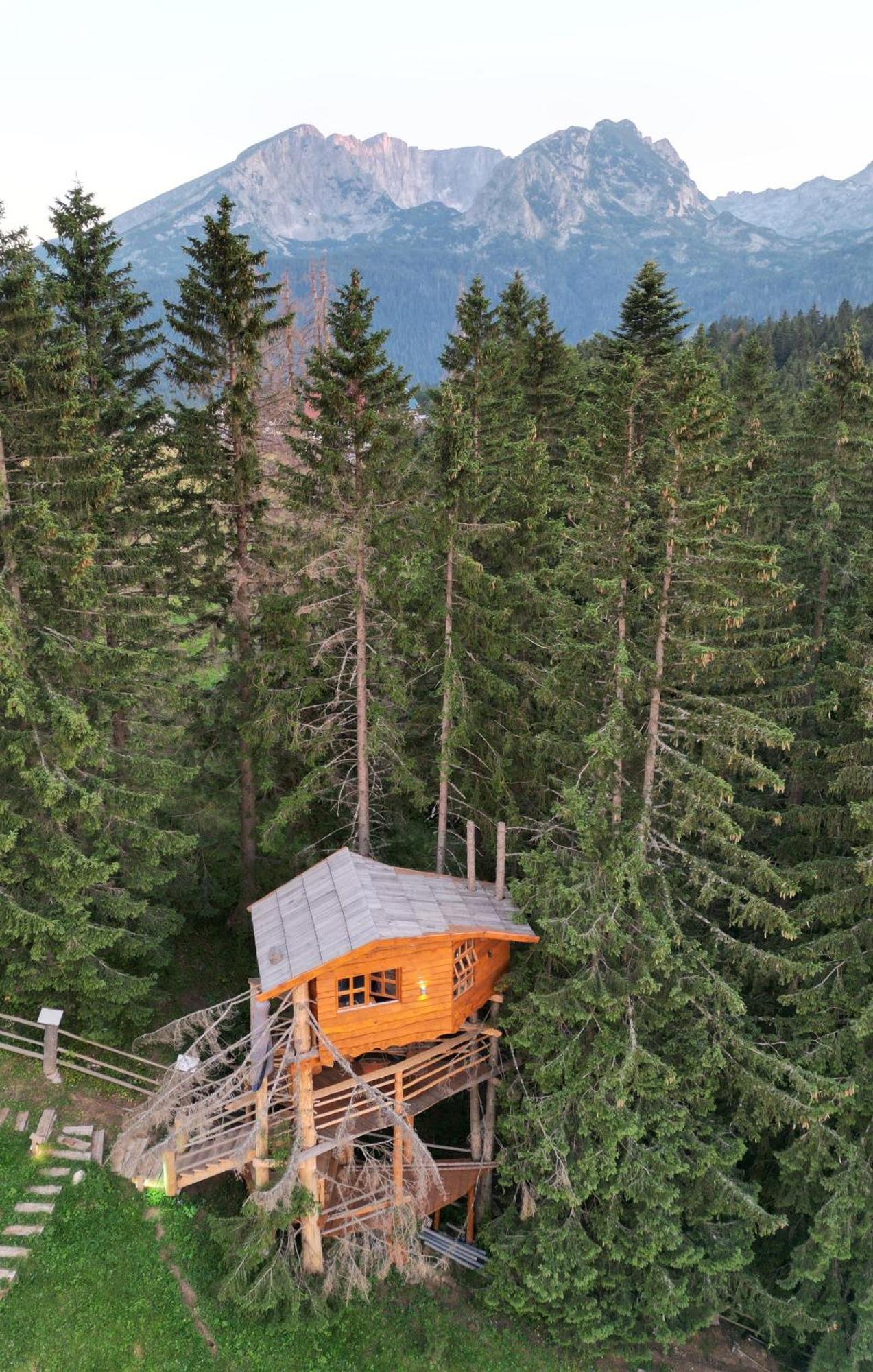 Guesthouse Planinarski Dom Neviden'O Žabljak Extérieur photo