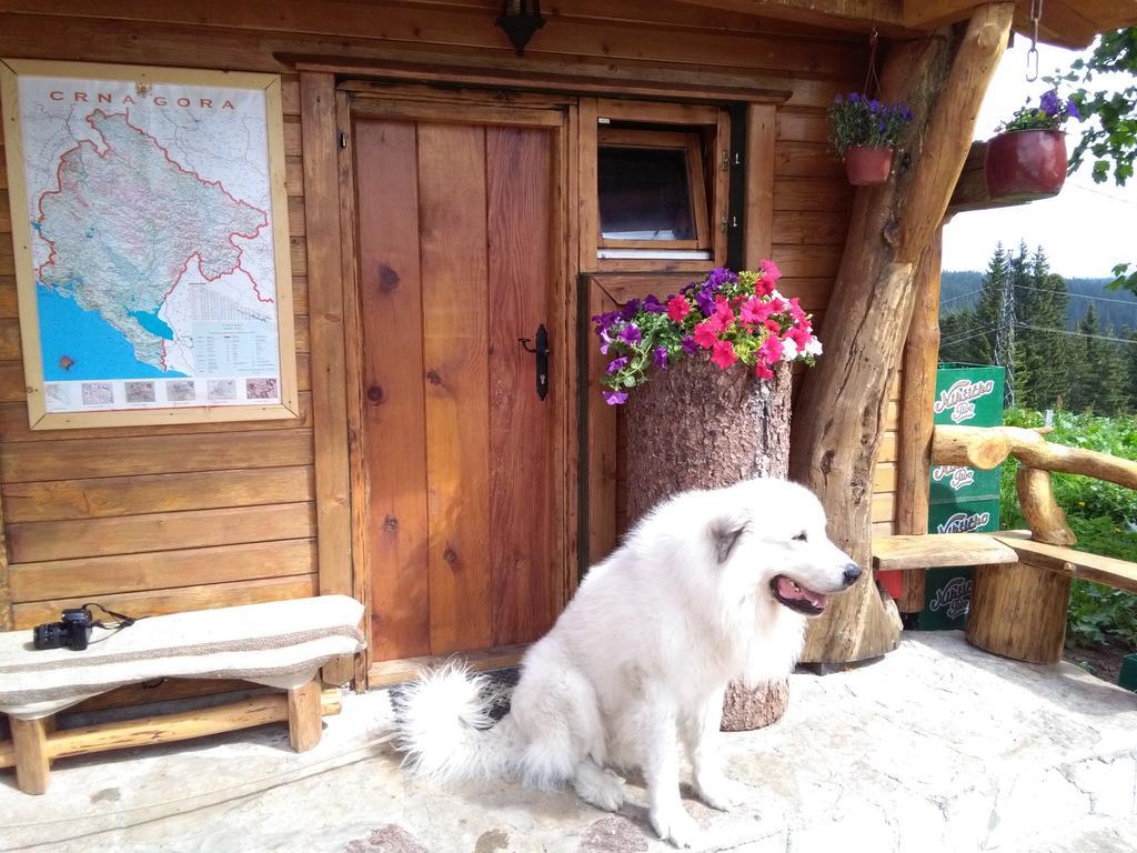 Guesthouse Planinarski Dom Neviden'O Žabljak Extérieur photo