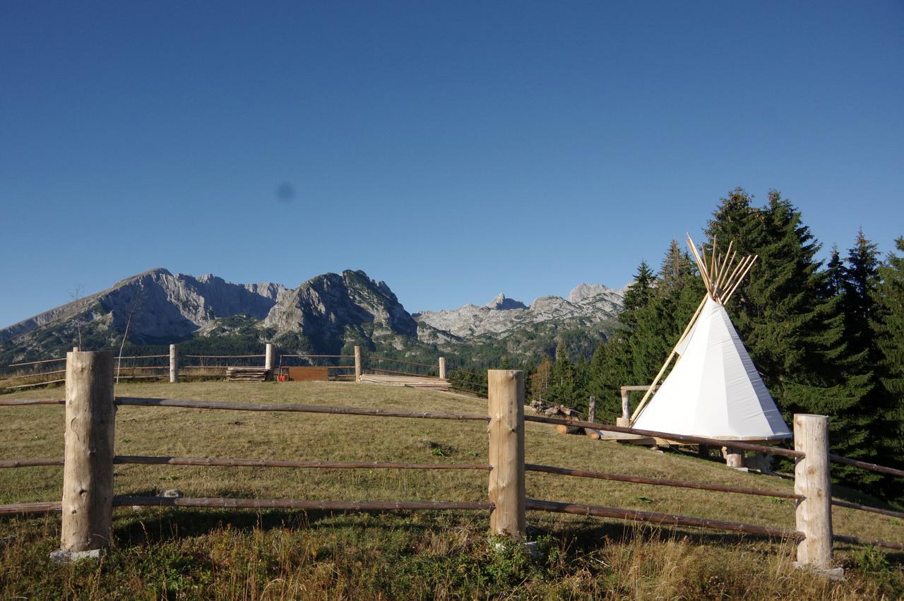 Guesthouse Planinarski Dom Neviden'O Žabljak Extérieur photo