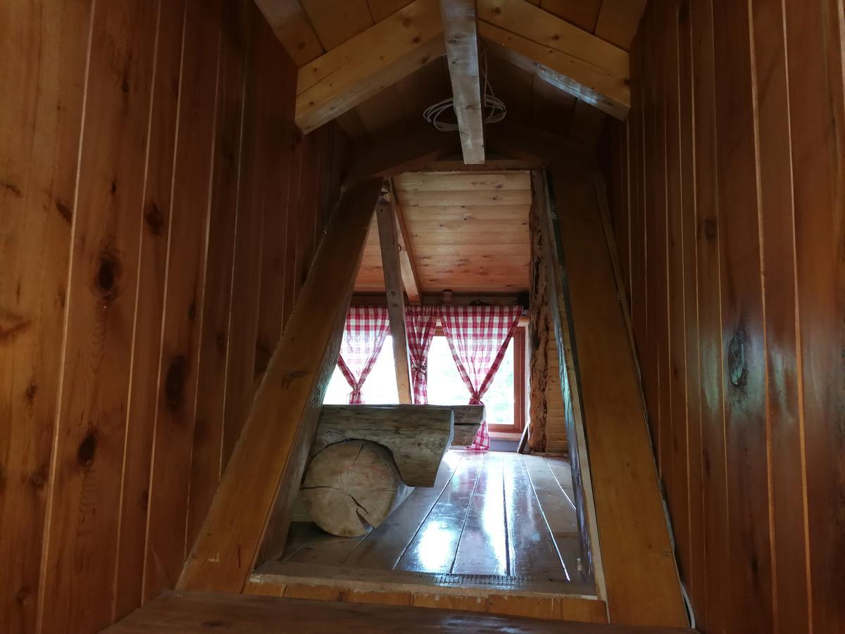 Guesthouse Planinarski Dom Neviden'O Žabljak Extérieur photo