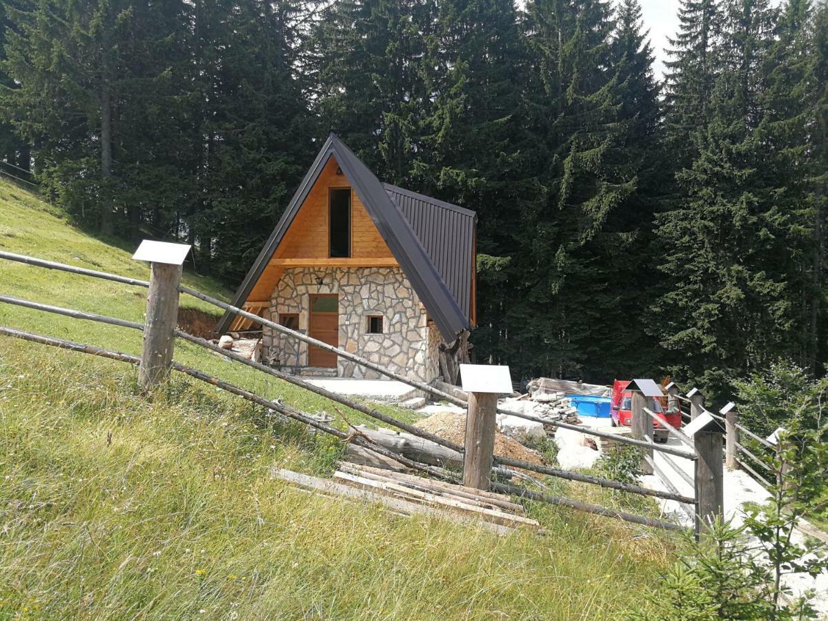 Guesthouse Planinarski Dom Neviden'O Žabljak Extérieur photo