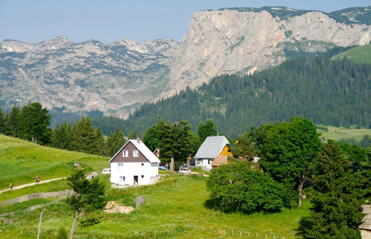 Guesthouse Planinarski Dom Neviden'O Žabljak Extérieur photo
